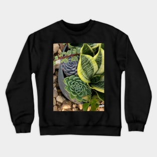 Succulent Beauties Crewneck Sweatshirt